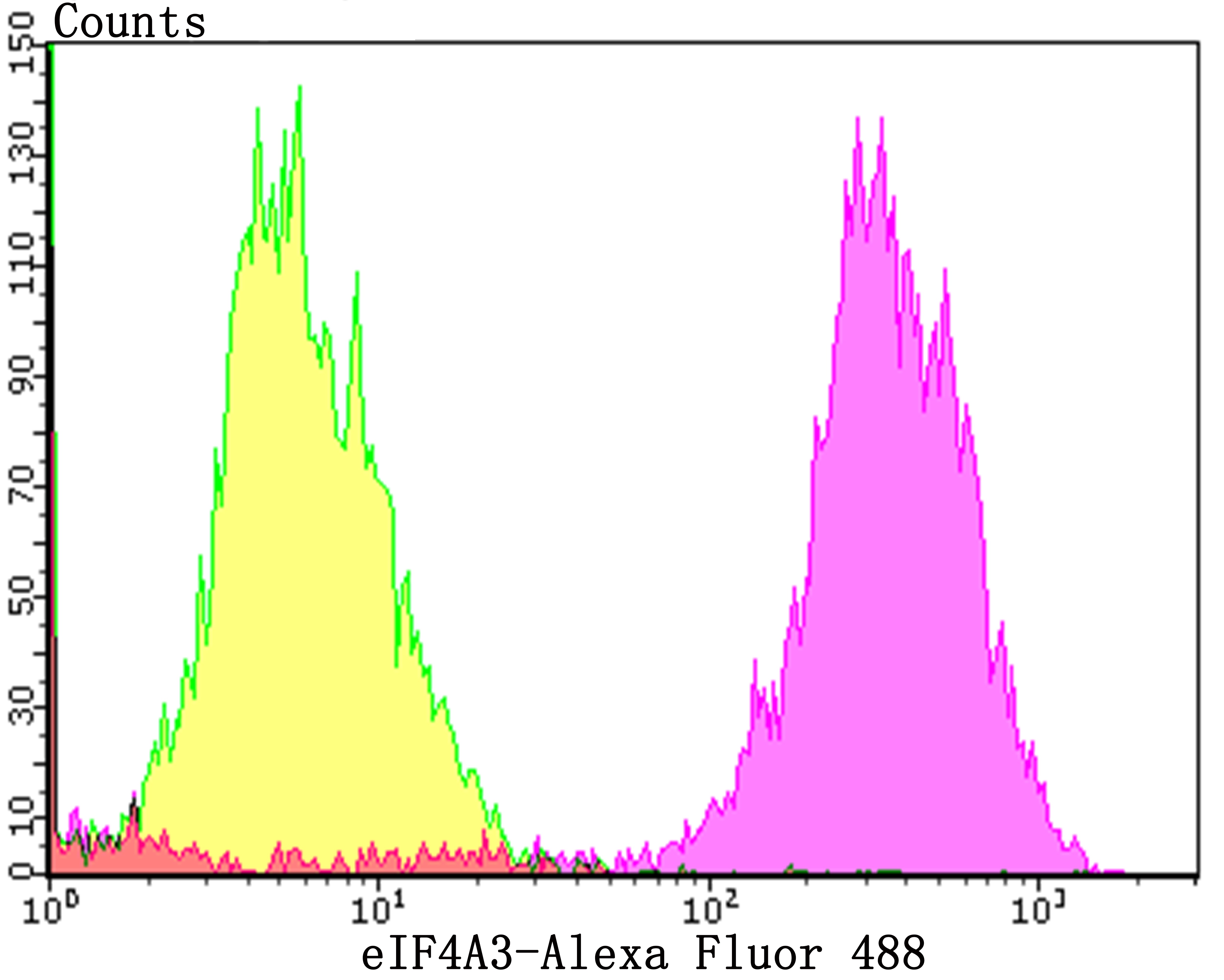 Anti-eIF4A3 Antibody (7D278)