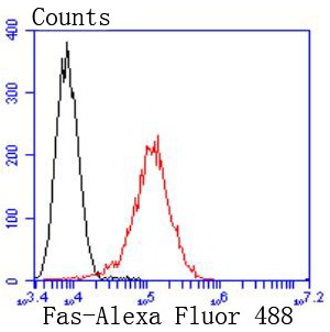 Anti-Fas/CD95 Antibody (4A58)