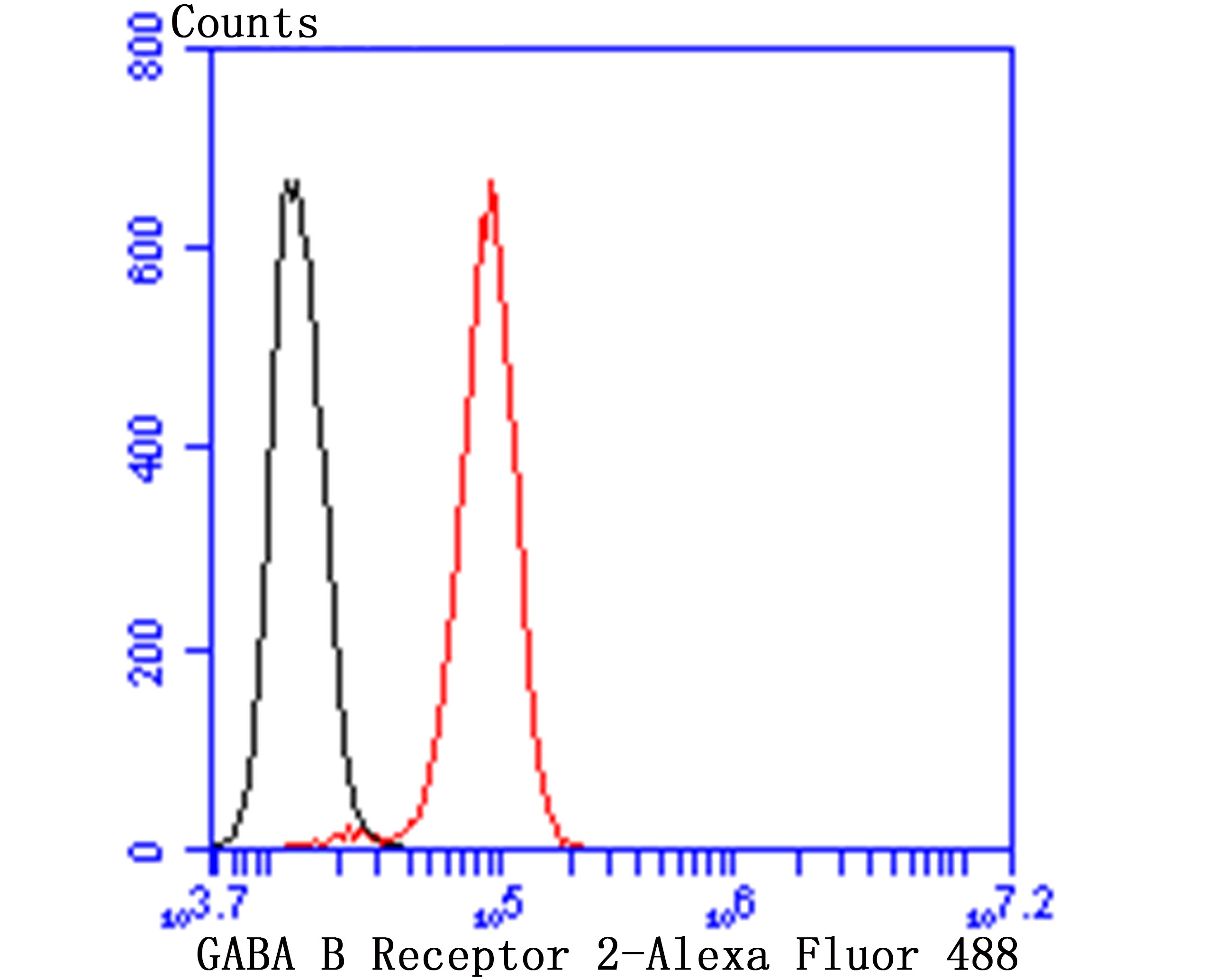 Anti-GABA B Receptor 2 Antibody (7M355)