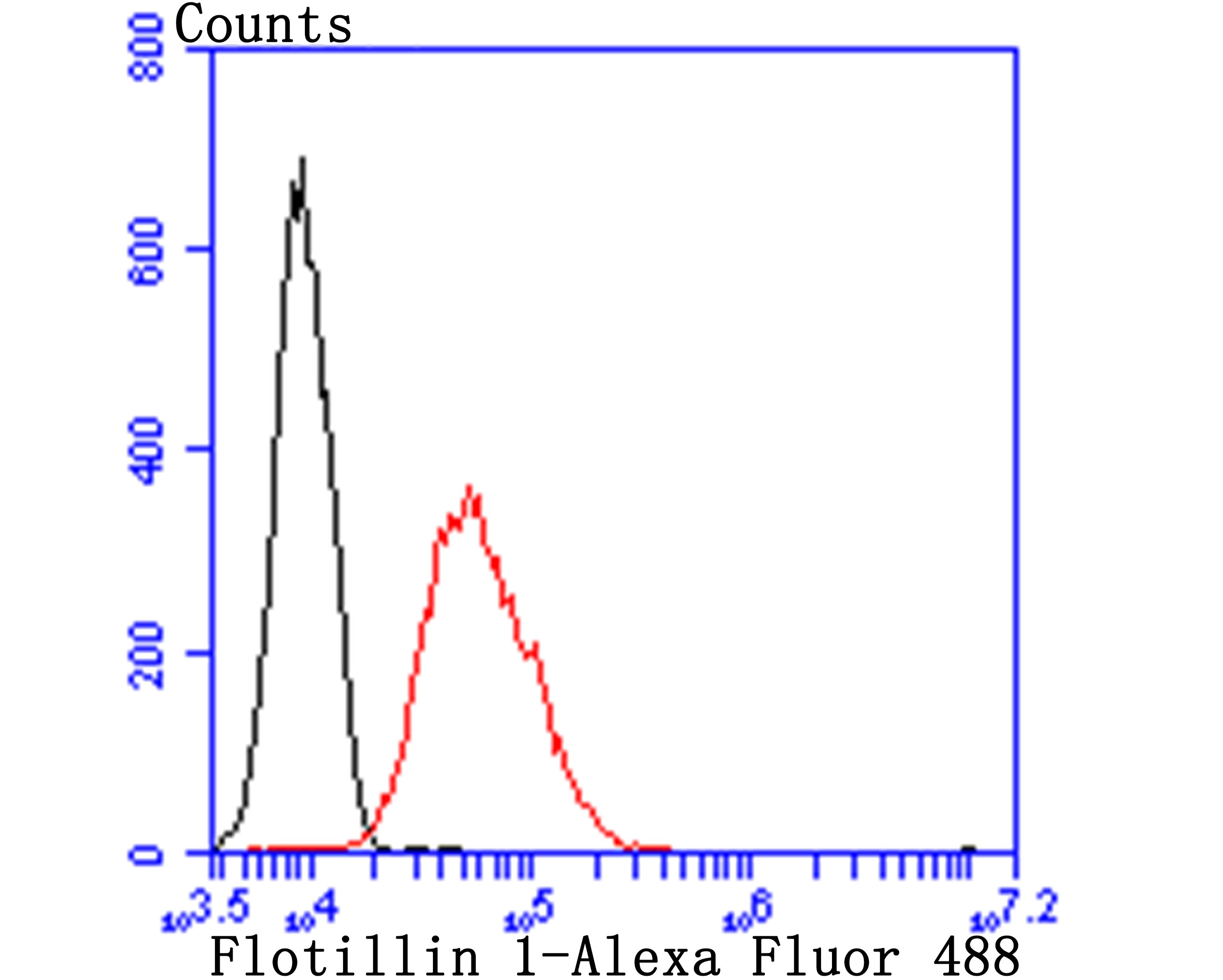 Anti-FLOT1 Antibody (9X291)