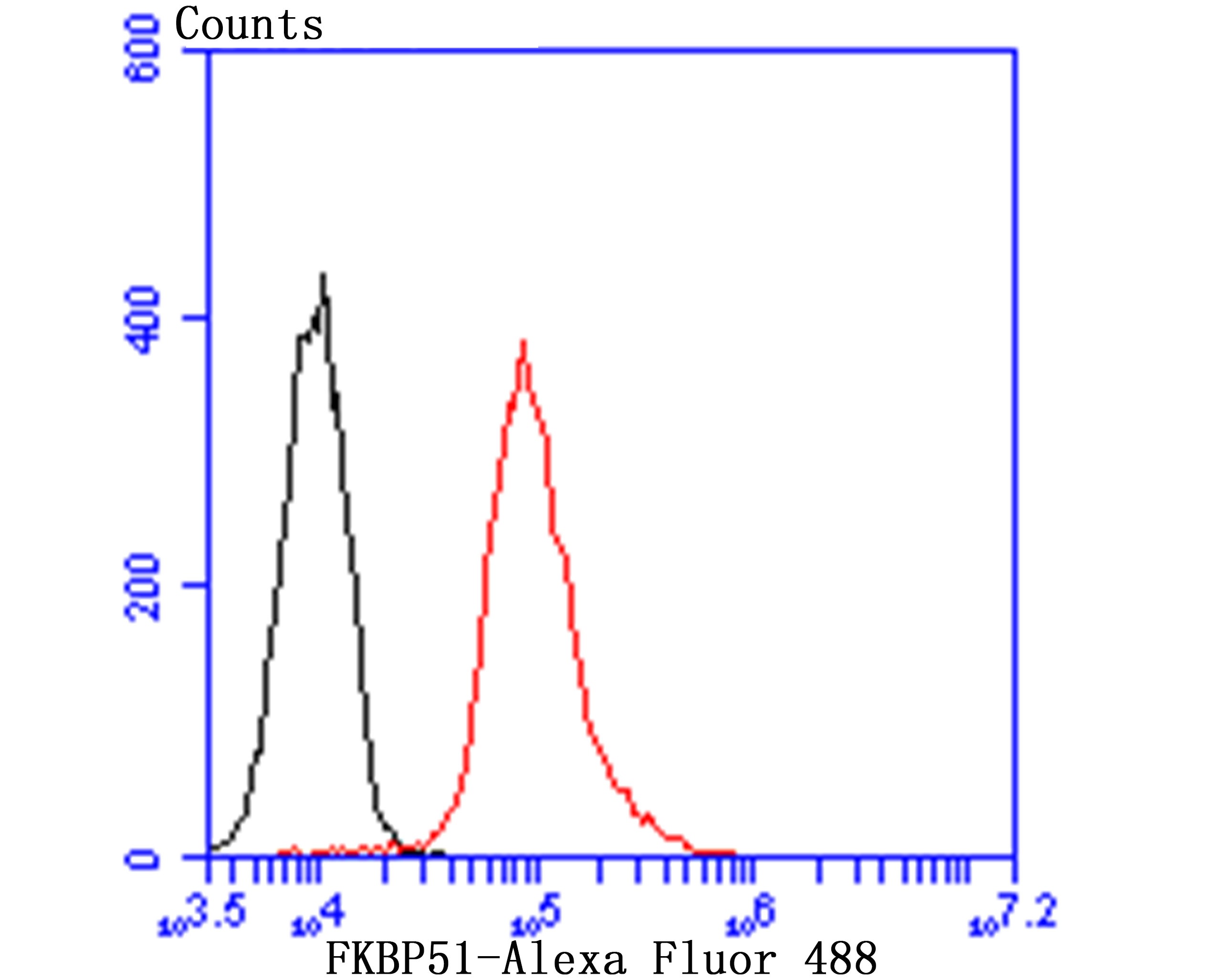 Anti-FKBP51 Antibody (6E556)