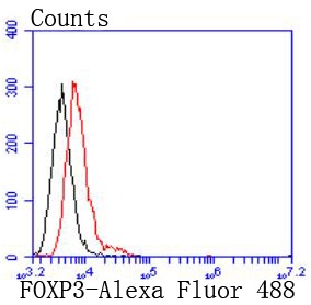 Anti-FOXP3 Antibody (9K907)