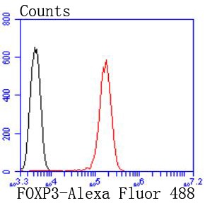 Anti-FOXP3 Antibody (1B572)