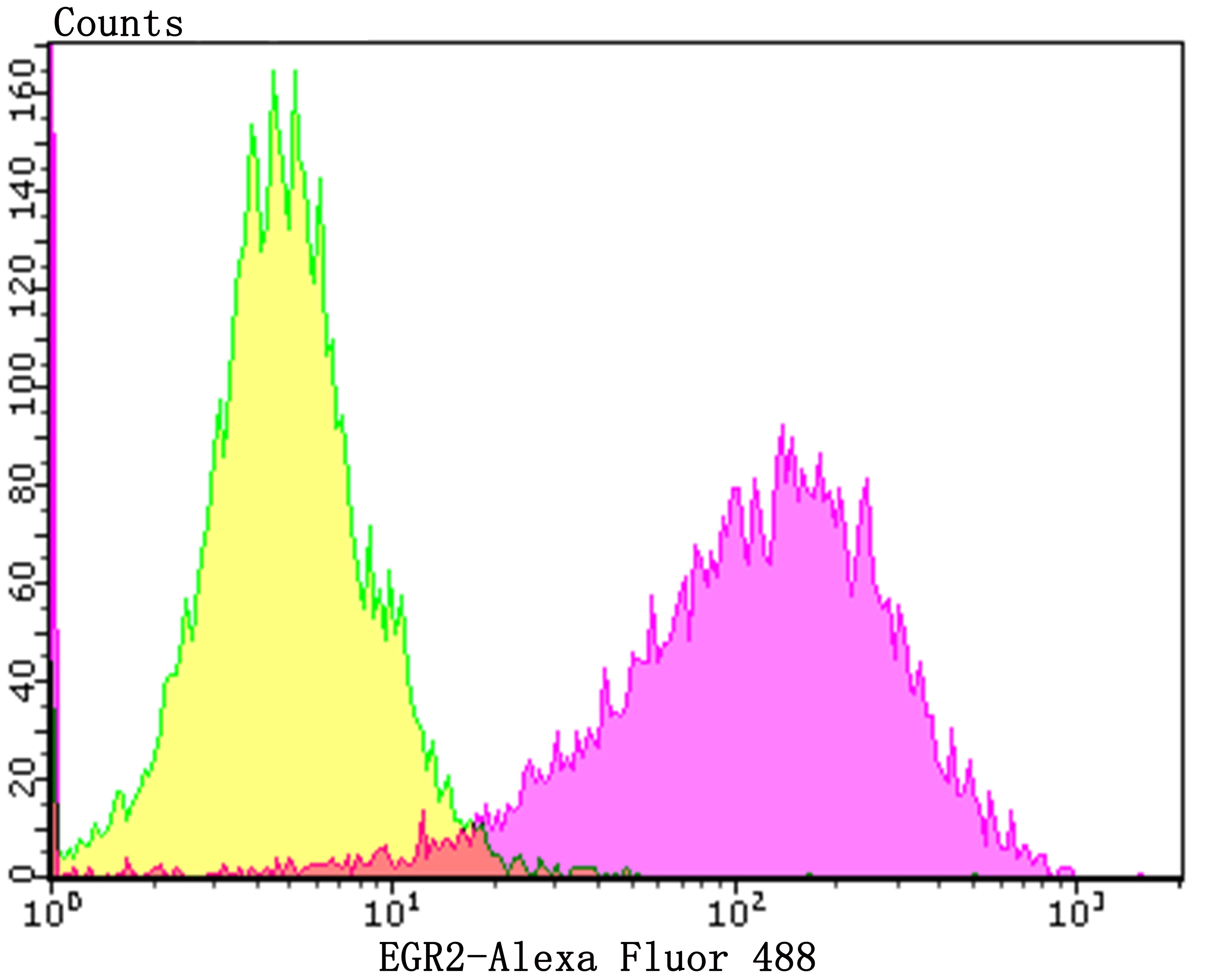 Anti-EGR2 Antibody (9E199)
