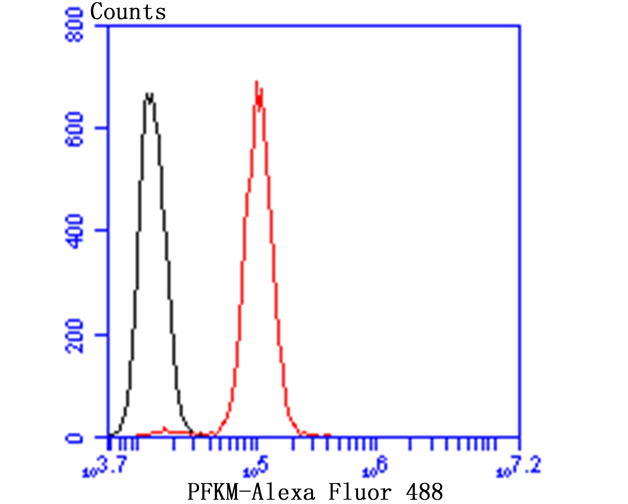 Anti-PFKM Antibody (4A746)