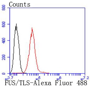 Anti-FUS Antibody (3F162)