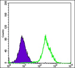 Anti-FUK Antibody (7P126)