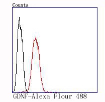 Anti-GDNF Antibody (7K481)