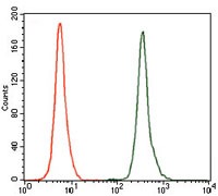 Anti-GCNF Antibody (6U757)