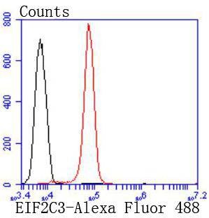 Anti-AGO3 Antibody (6K228)
