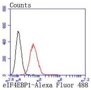Anti-4EBP1 Antibody (5U577)