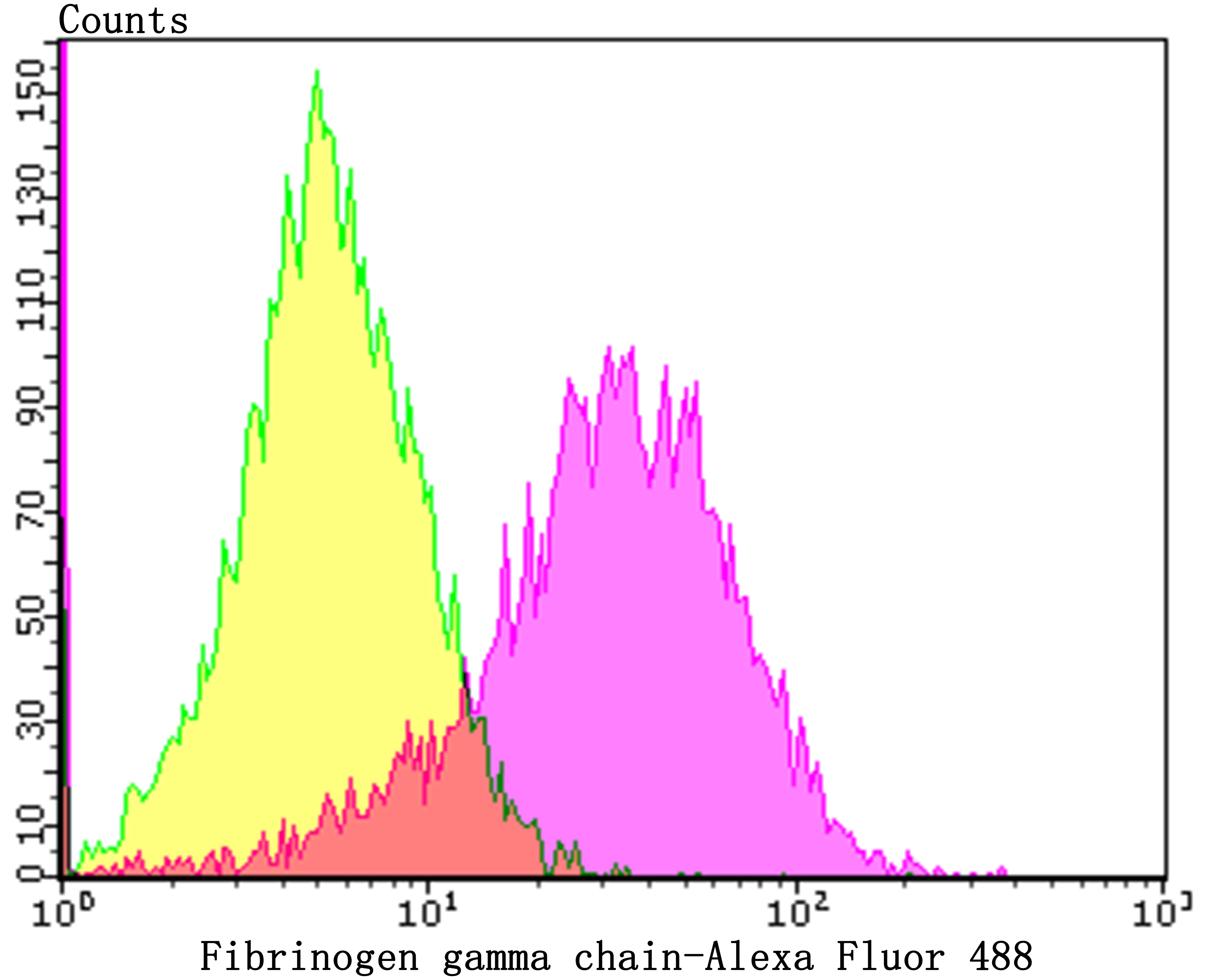 Anti-Fibrinogen Gamma Chain Antibody (1N94)