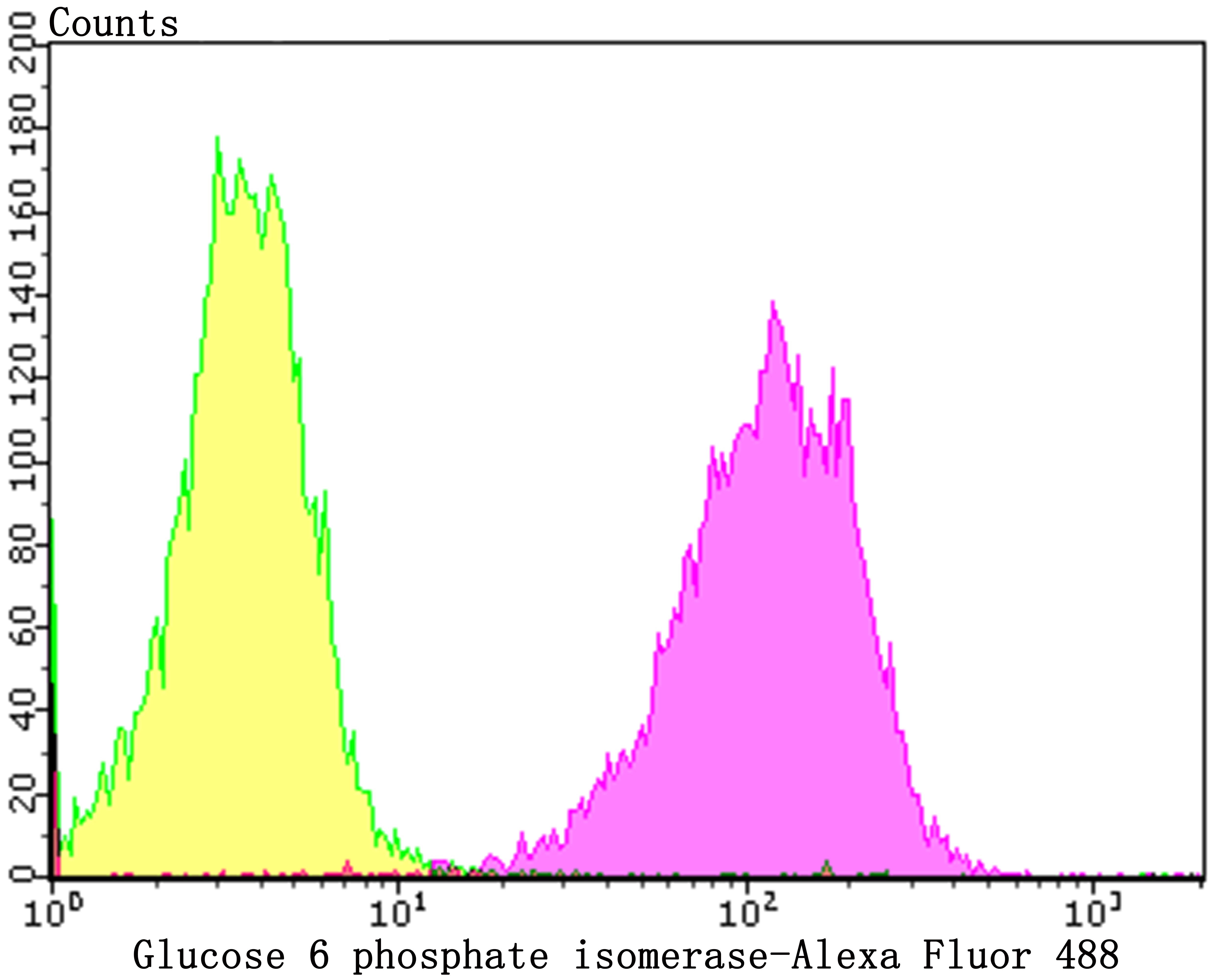 Anti-GPI Antibody (6K139)
