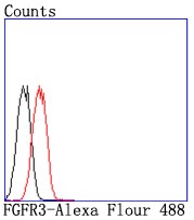 Anti-FGFR3 Antibody (4S518)