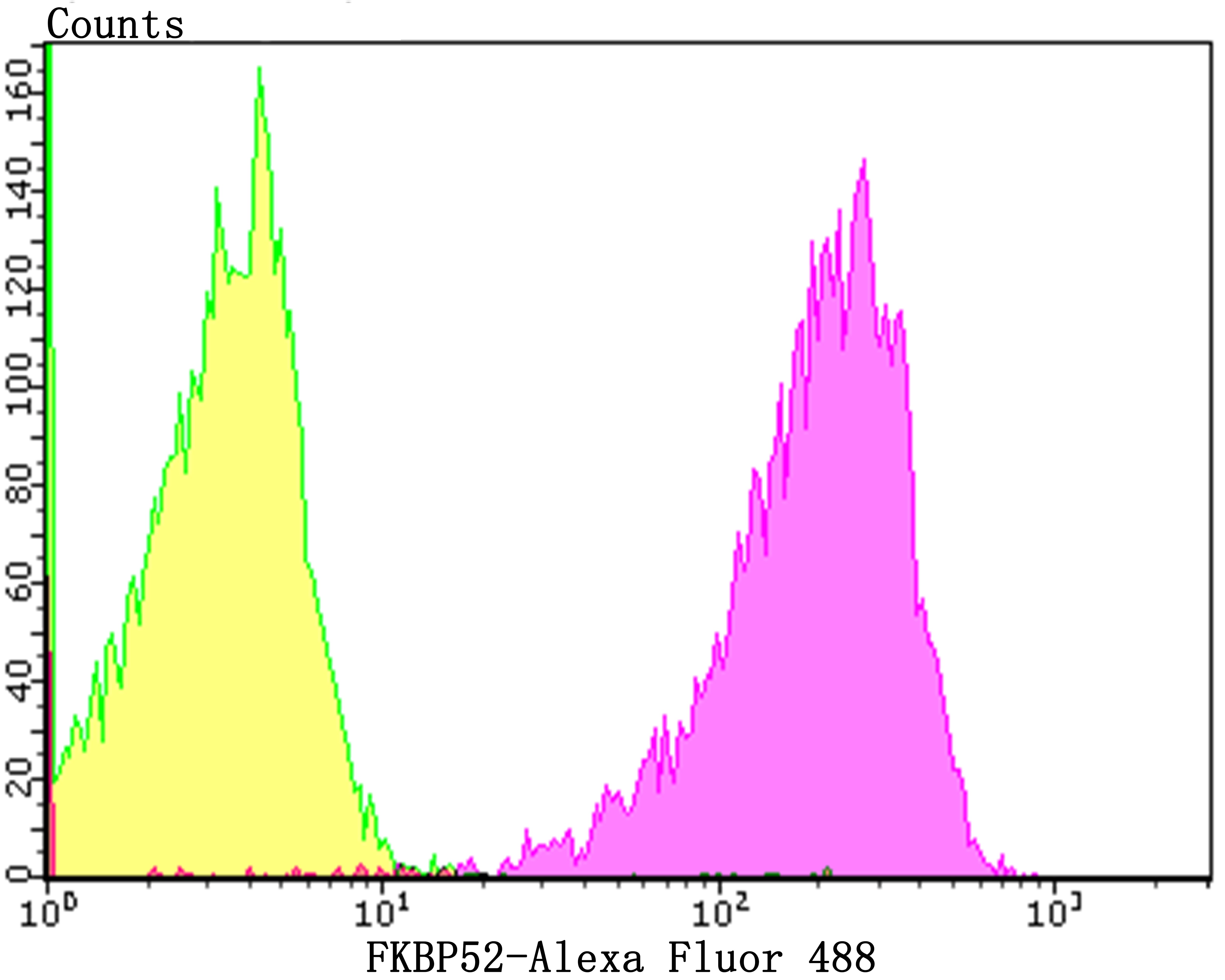 Anti-FKBP4 Antibody (1H771)
