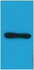 Anti-HA Tag Antibody (5Y557)