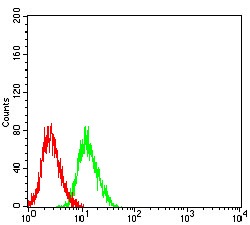 Anti-GRIN3B Antibody (6V820)