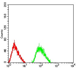 Anti-GRIN3B Antibody (6V820)