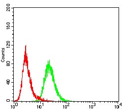 Anti-FBXL10 Antibody (6J798)