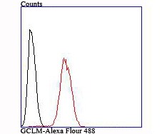 Anti-GCLM Antibody (9X353)