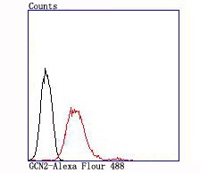 Anti-GCN2 Antibody (7U574)