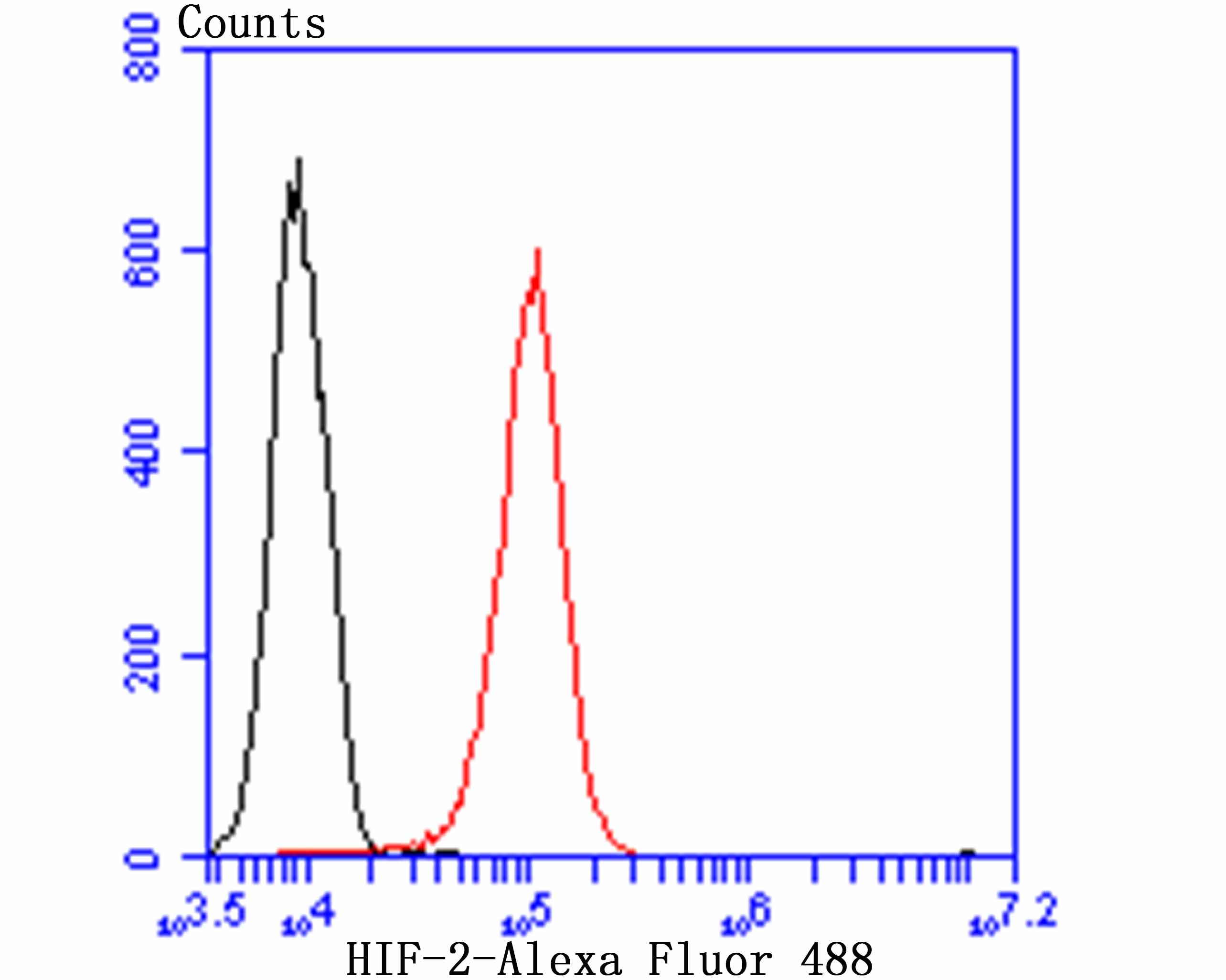 Anti-EPAS1 Antibody (7C2)