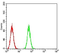 Anti-GPCR GPR86 Antibody (3M274)