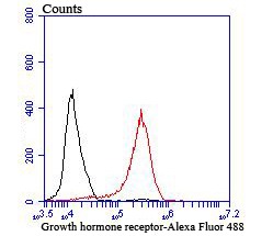 Anti-GHR Antibody (1M753)