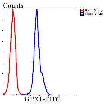 Anti-GPX1 Antibody (3M540)