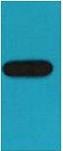 Anti-GST Antibody (4V446)