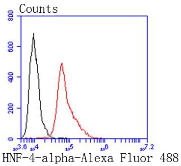Anti-HNF4A Antibody (1Y813)