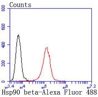 Anti-HSP90AB1 Antibody (4Y129)