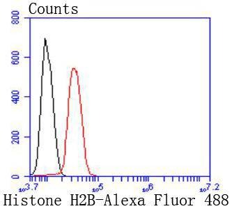 Anti-Histone H2B type 1-K Antibody (4Z139)