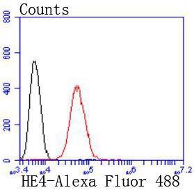 Anti-WFDC2 Antibody (4W741)