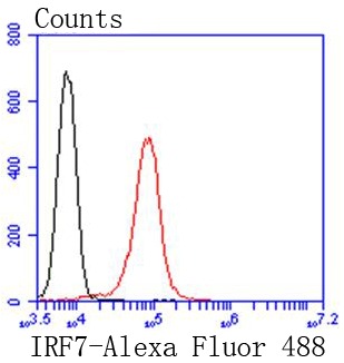 Anti-IRF7 Antibody (8B964)