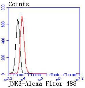 Anti-MAPK10 Antibody (7M343)