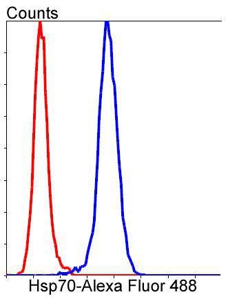 Anti-HSP70 Antibody (7N158)
