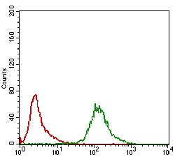 Anti-KHDRBS2 Antibody (3H737)