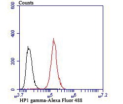 Anti-CBX3 Antibody (8Z290)