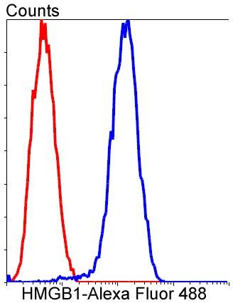Anti-HMGB1 Antibody (5H227)