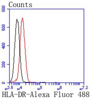 Anti-HLA-DRA Antibody (9X138)
