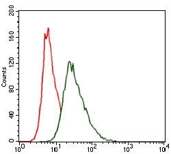 Anti-HSF4 Antibody (1L976)