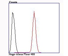 Anti-RTN4 Antibody (3H783)