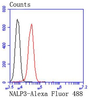 Anti-NLRP3 Antibody (7T54)