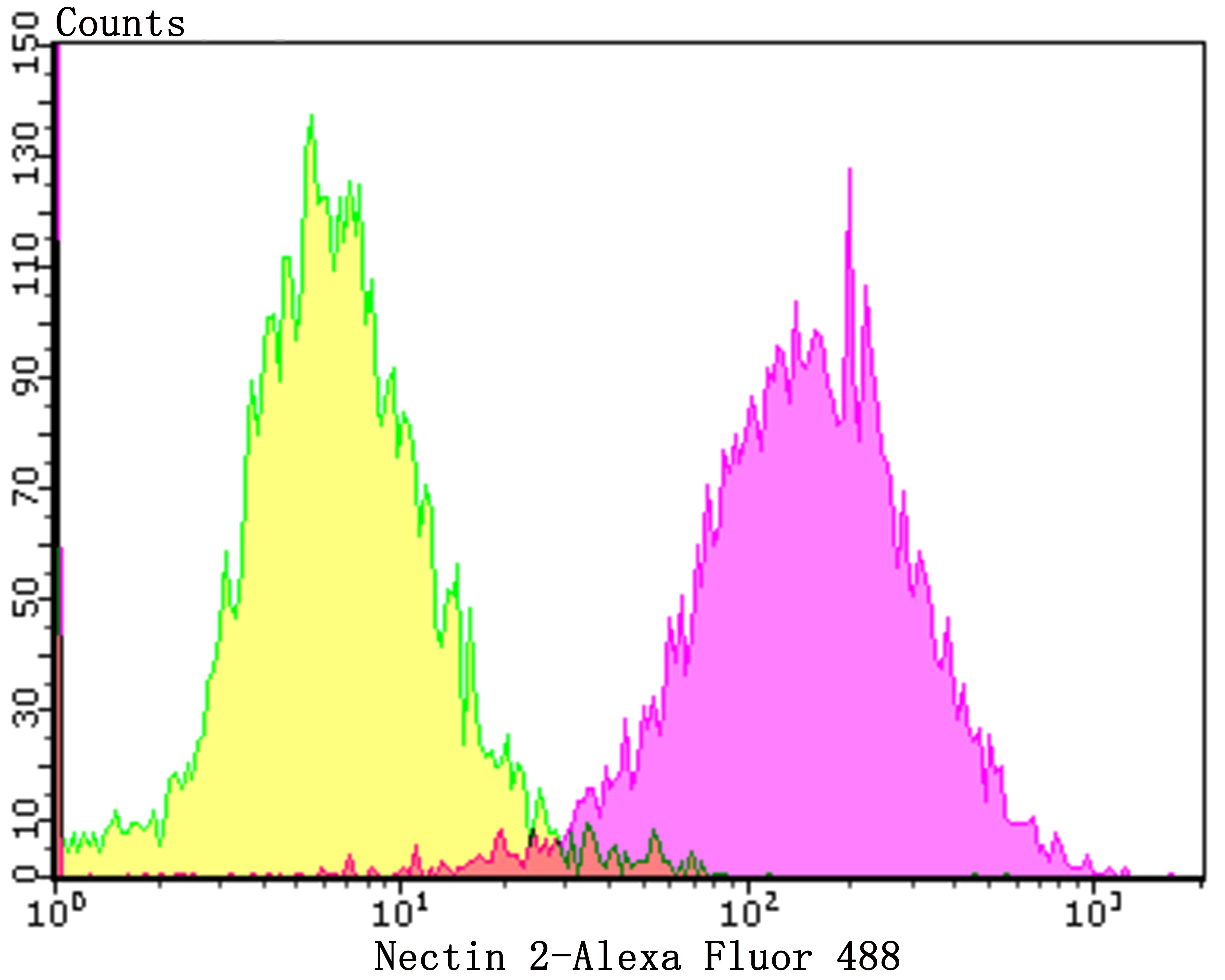 Anti-NECTIN2 Antibody (7R662)