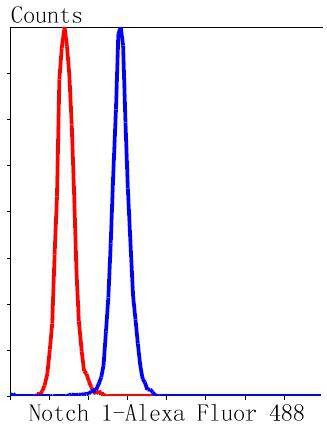Anti-Notch 1 Antibody (6A911)