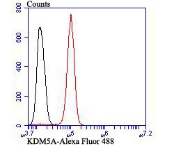 Anti-KDM5A Antibody (8P685)