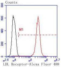 Anti-LDLR Antibody (1J54)