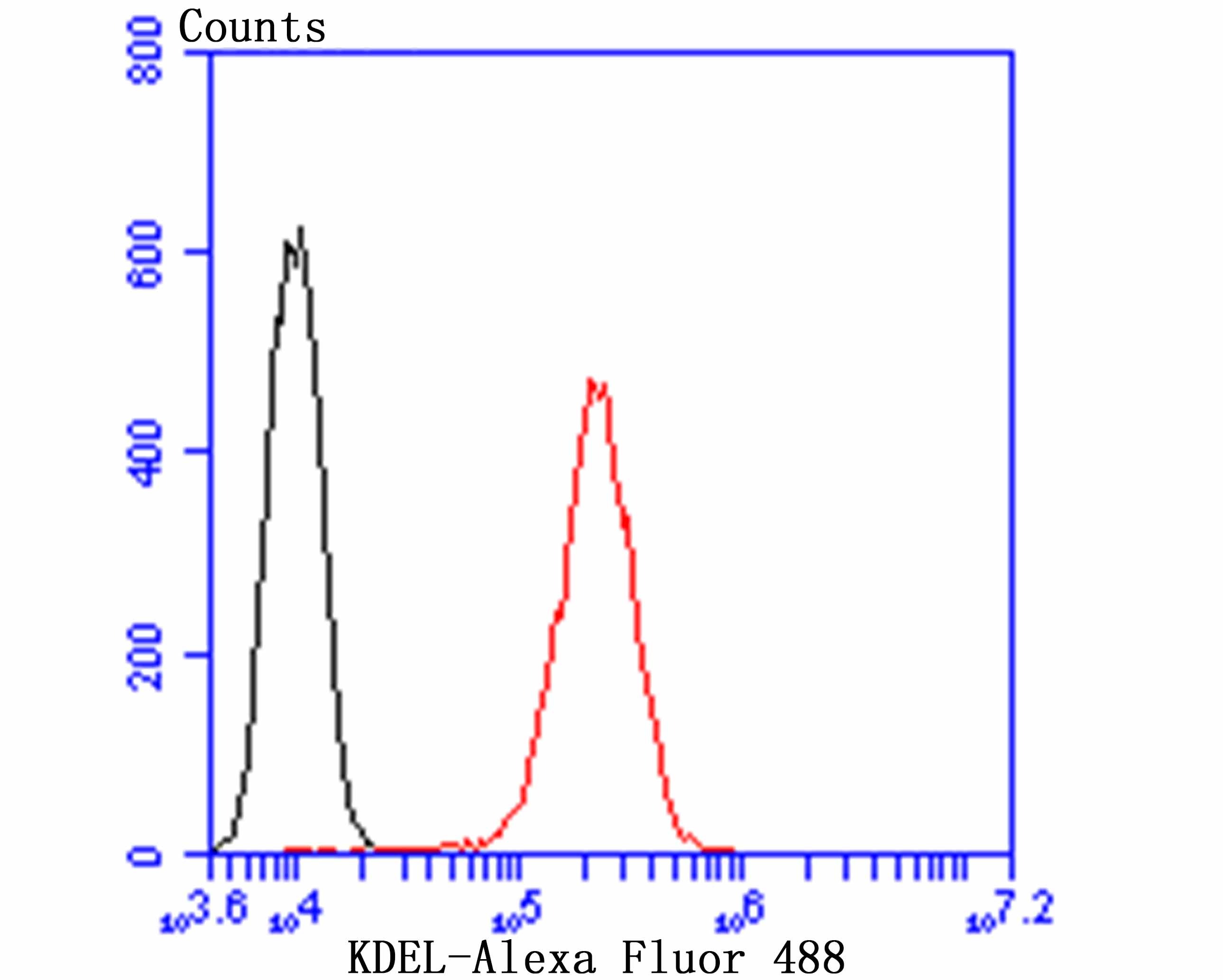 Anti-KDEL Antibody (8Y233)