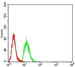 Anti-KDM3A Antibody (5B591)